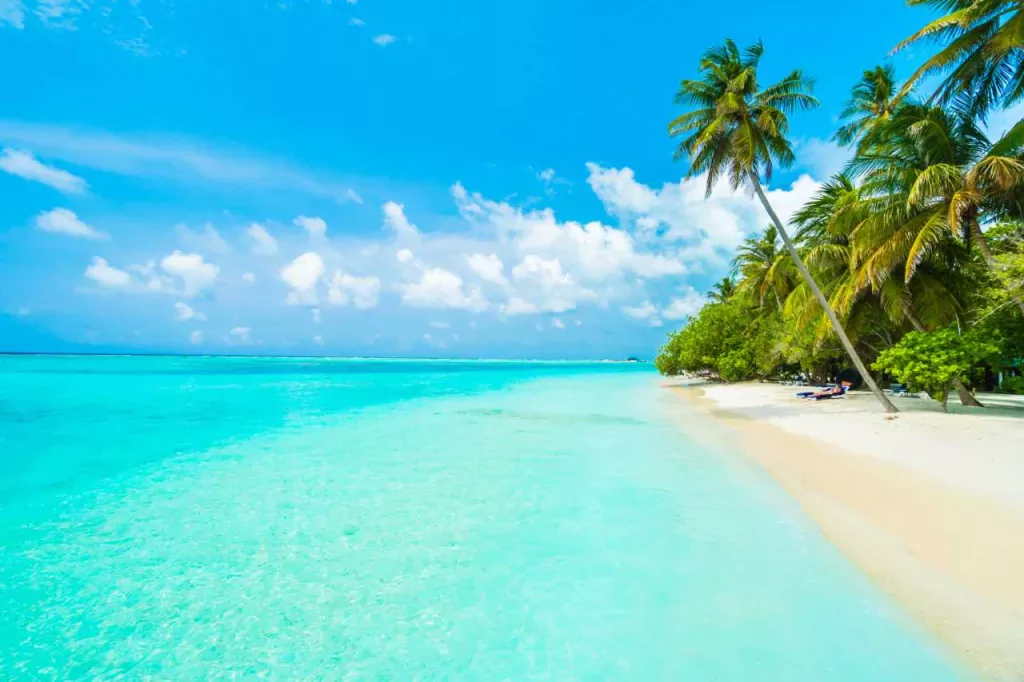 Plage avec cocotiers sous un ciel bleu